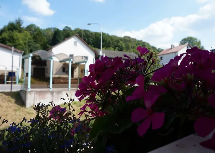 Schoenste Im Odenwald فالد-ميشيلباخ