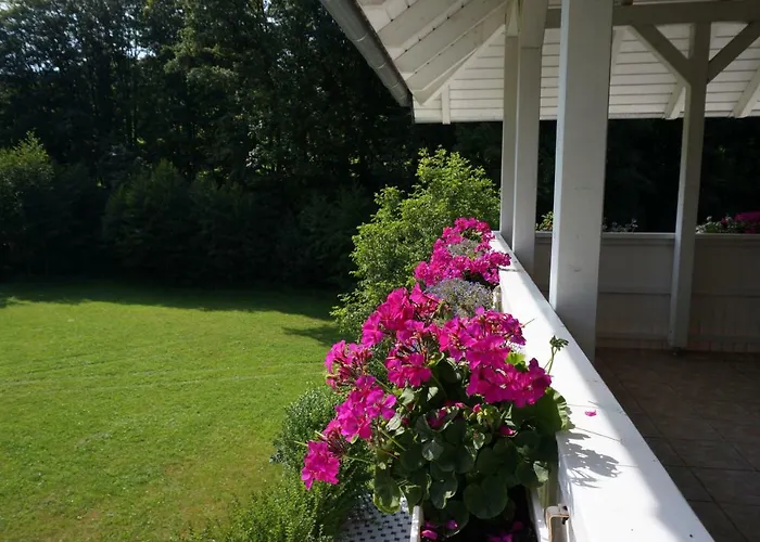 Schoenste Im Odenwald *